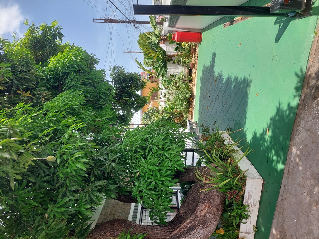 places to stay in Port of Spain